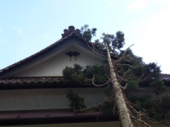 雨樋廃番