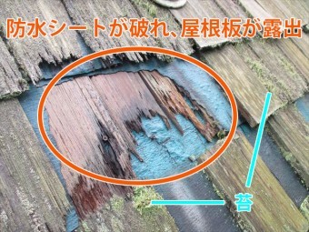 屋根板露出