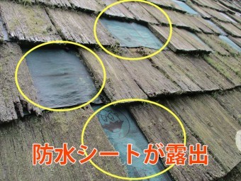 防水シート露出