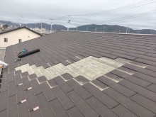 カラーベスト解体終了
