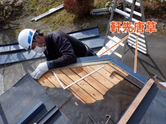 軒先唐草取付け