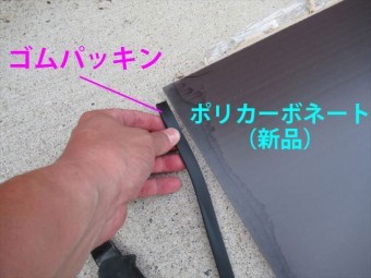 新しいポリカ