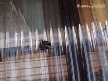 ポリカ小波板固定ビス取れています