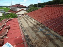 唐草撤去後の下地(松の葉、スズメの巣)