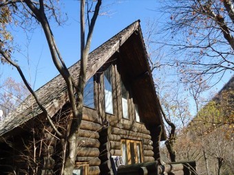 木の屋根材が落下した現場