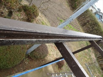 テラス屋根小波ポリカ軒先雨樋ごみ撤去