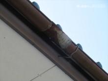 軒樋継手ボロボロ
