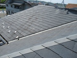 カバー工法施工前