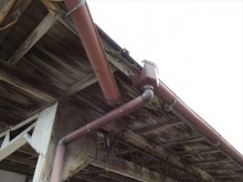 IMG_2159_R-columns3-overlay