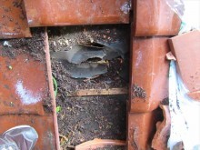 瓦の破損個所
