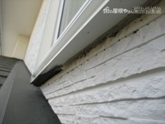 雨漏り箇所を下から見たところ