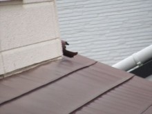 切断された西側のはいどい
