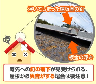 庭先への釘の落下が見受けられる、屋根から異音がする場合は要注意!