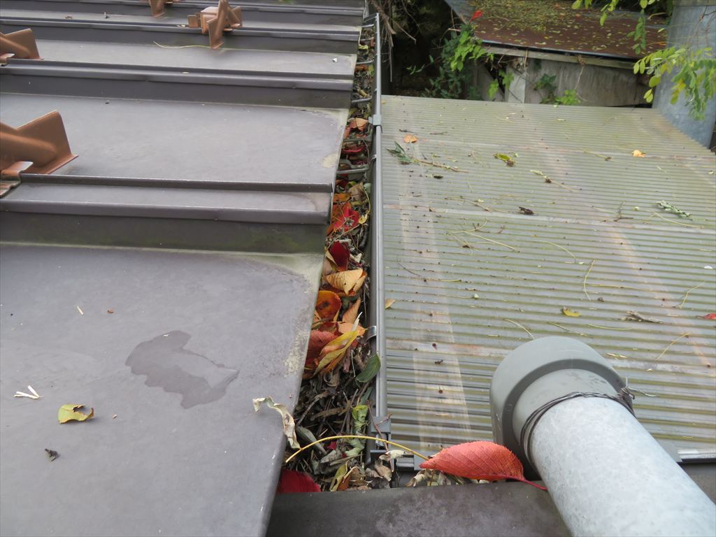 雨樋掃除前 軒樋に葉っぱや、枝が詰まっている状況