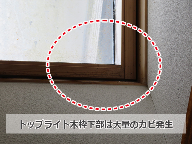 トップライト内部の木枠下部はかびだらけ
