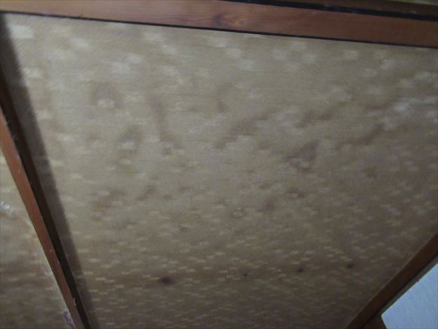 雨漏りで天井にできたシミ