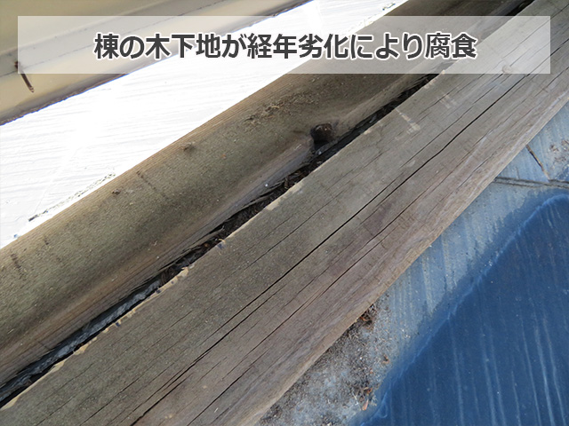 棟木下地の腐食