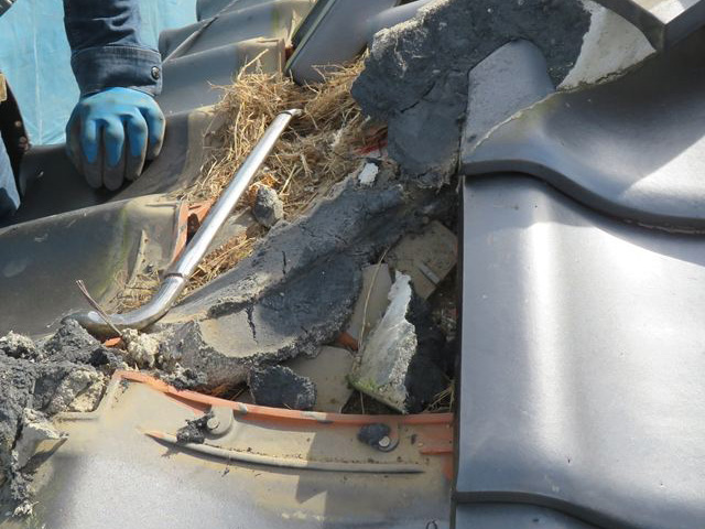 隅棟を解体した後の鳥の巣